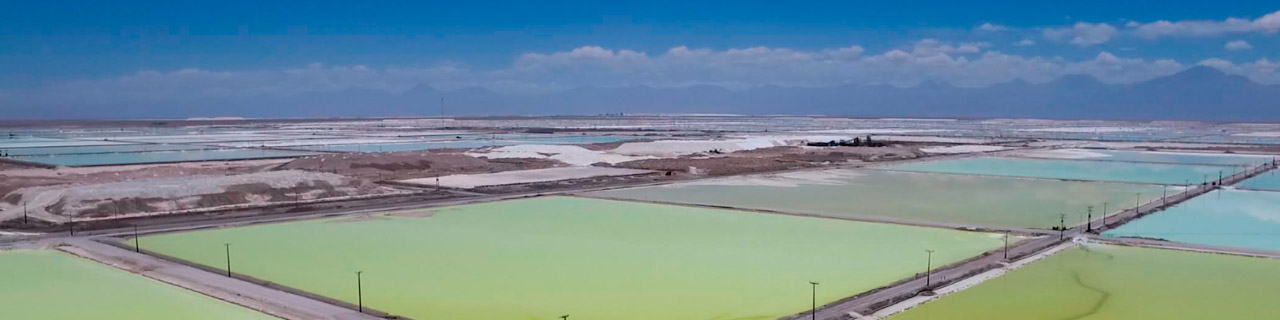 SQM monitor en línea